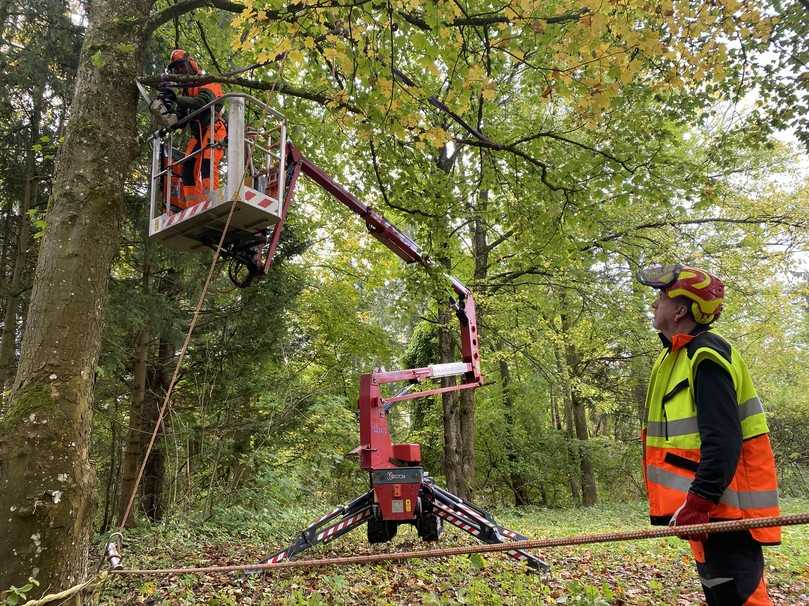 Im praktischen Ausbildungsteil wird die Schnitttechnik der Teilnehmenden von AST Trainer Rupert Martin überwacht. | Foto: AST Arbeitssicherheit Im praktischen Ausbildungsteil wird die Schnitttechnik der Teilnehmenden von AST Trainer Rupert Martin überwacht. | Foto: AST Arbeitssicherheit