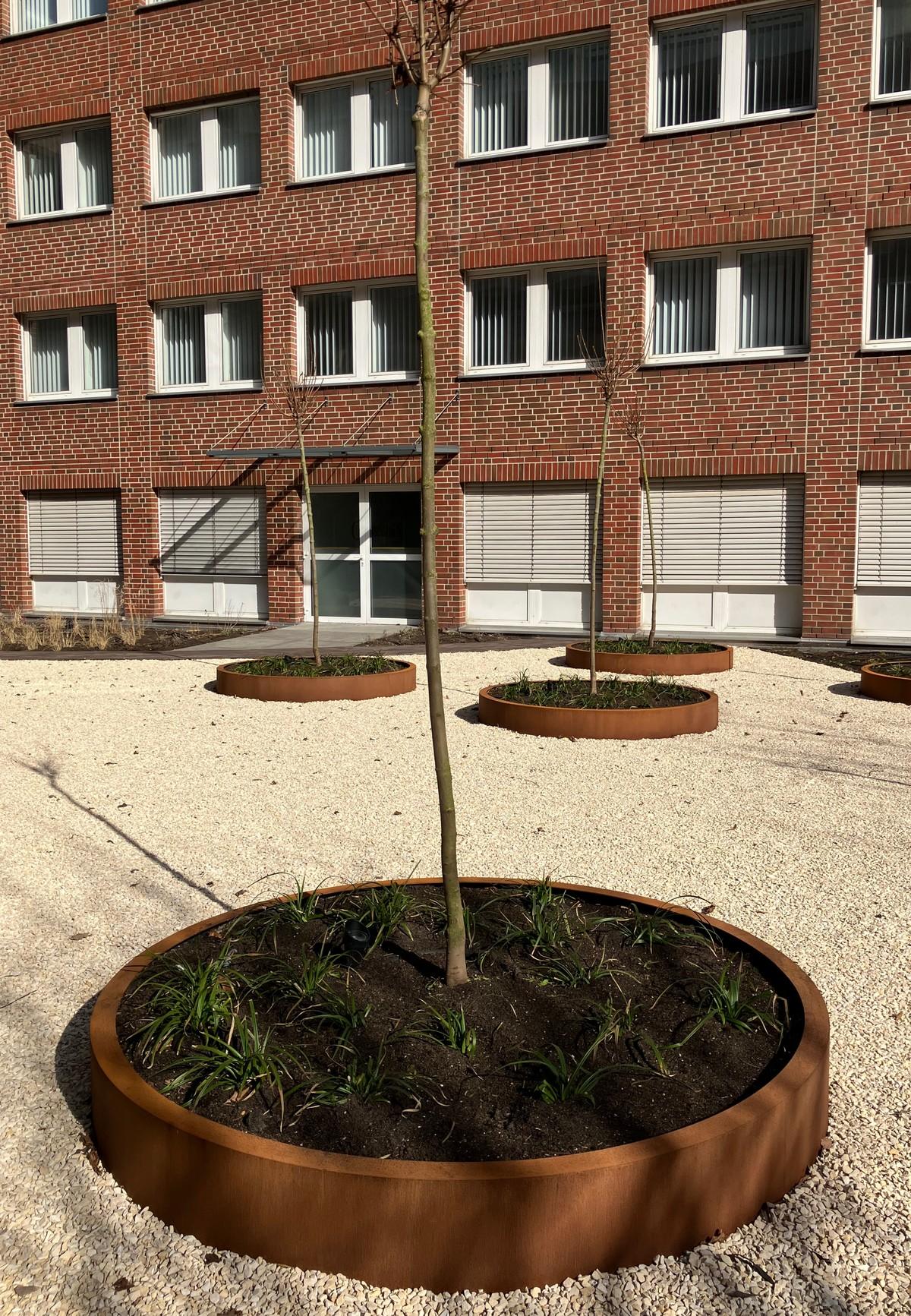 Dank des geringen Gewichts von 385 Kilogramm im wassergesättigten Zustand auf dem Kubikmeter war selbst das Pflanzen von Bäumen auf der Dachfläche möglich. | Foto: Veriso