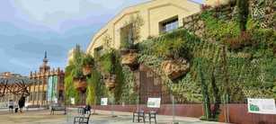 Lebensqualität? Städte für Hitze und Starkregen fit machen