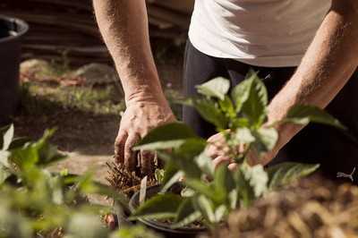 Düngerhersteller unter Druck: Preiserhöhungen auch im Gartenmarkt