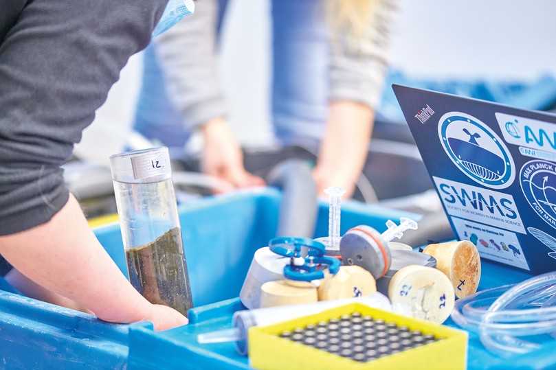 Analyse und Massenbewertung des Bestands am Grund: Was ist organisch und was anorganisch? | Foto: Colditz