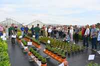 Florum 2025: Einblicke in Holsteins Baumschulen