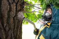 EPS-Raupen einfach absaugen