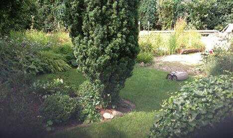 Der kleine Robotermäher hatte ein anspruchsvolles Rasengrundstück zu mähen, mit engen Durchgängen und fast ohne Begrenzung. Das Fazit: Volle Punktzahl (5 von 5 Blättern im B_I galabau Praxistest). Der kleine Robotermäher hatte ein anspruchsvolles Rasengrundstück zu mähen, mit engen Durchgängen und fast ohne Begrenzung. Das Fazit: Volle Punktzahl (5 von 5 Blättern im B_I galabau Praxistest).