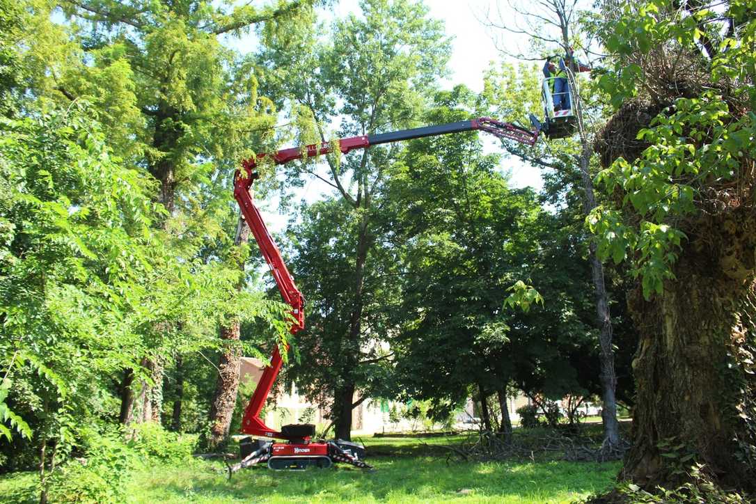 Raupenarbeitsbühne für GaLaBau & Baumpflege: Hinowa Lightlift 20.10 im Fokus