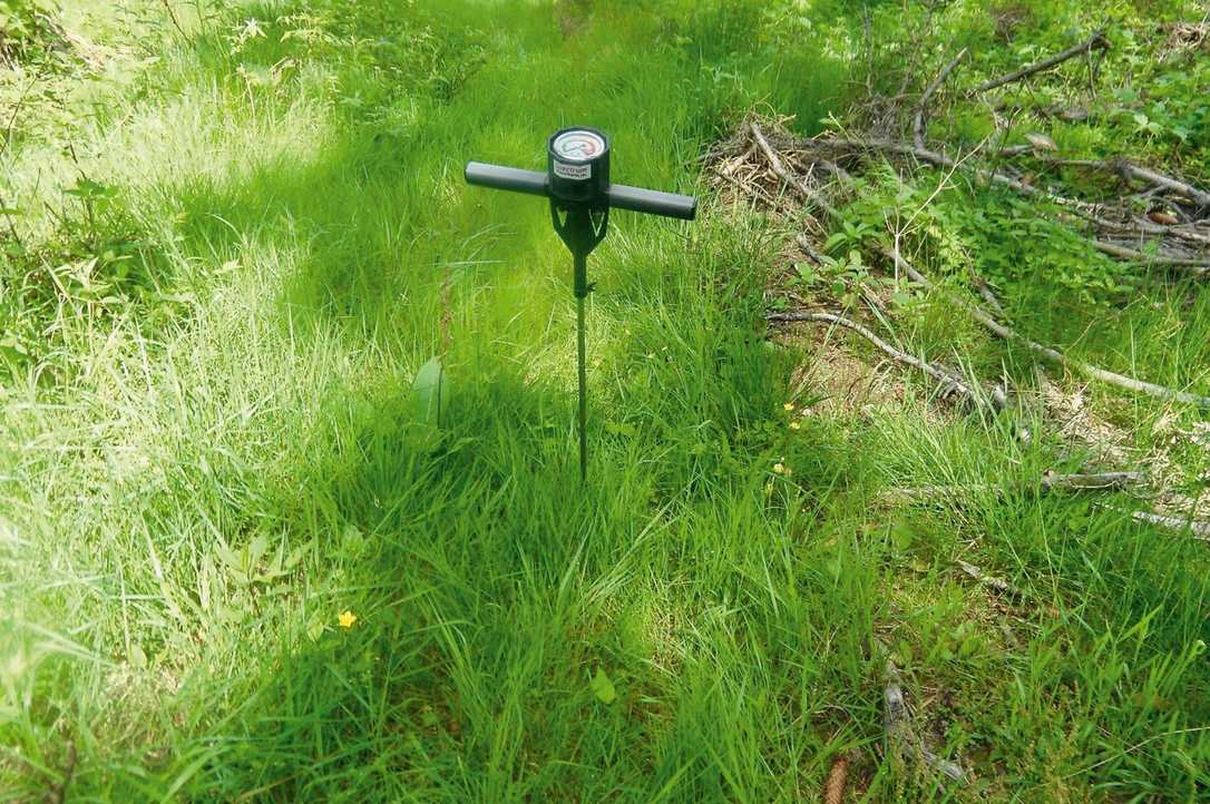 Waldboden-Pflege für gesunde Forst-Bestände mit Mykorrhizen Waldboden-Pflege für gesunde Forst-Bestände mit Mykorrhizen