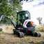 So helfen Bagger von Bobcat bei der Waldbrand-Prävention