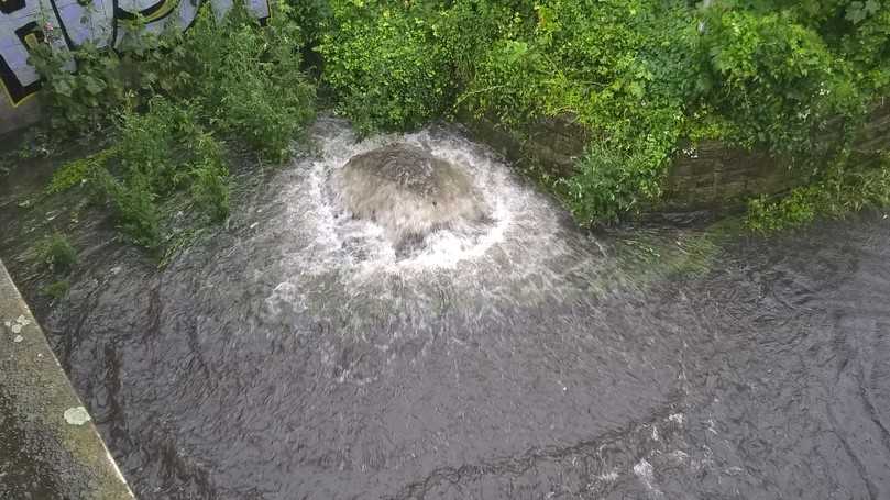 Wasser quillt aus einer Schachtabdeckung. Die Ursache ist üblicherweise Rückstau aus dem Kanal als Folge eines Starkregens. Bei unterirdischen Regenspeichern unterhalb der Rückstauebene, die nicht dagegen gesichert sind, droht die Kontamination des Wasservorrats. | Foto: Mall Wasser quillt aus einer Schachtabdeckung. Die Ursache ist üblicherweise Rückstau aus dem Kanal als Folge eines Starkregens. Bei unterirdischen Regenspeichern unterhalb der Rückstauebene, die nicht dagegen gesichert sind, droht die Kontamination des Wasservorrats. | Foto: Mall