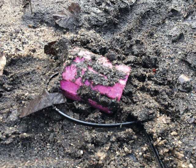 Weggespültes Rattengift im Sandfang | Foto: ball-b