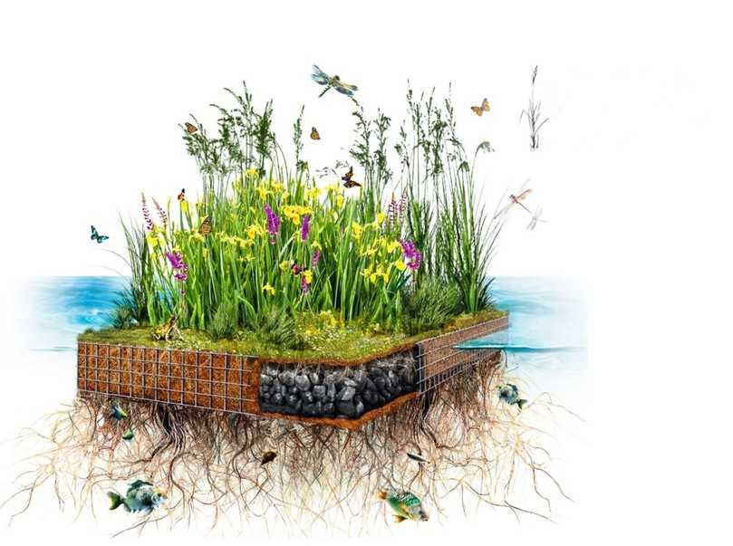 Flora Float als vollständig bepflanztes Schwimmmodul. 
Quelle: ROESS Nature Group | Foto: Roess Nature 