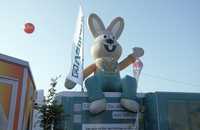 Großes Beratungsangebot zum Thema Energie