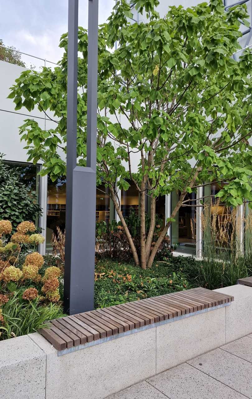 Ein Unternehmen, das in die Atmosphäre rund um den Arbeitsplatz investiert und mit Pflanzen für einen hohe Aufenthaltsqualität sorgt, zeigt glaubwürdig sein Interesse am Wohlbefinden und der Gesundheit seiner Belegschaft. | Foto: BGL Ein Unternehmen, das in die Atmosphäre rund um den Arbeitsplatz investiert und mit Pflanzen für einen hohe Aufenthaltsqualität sorgt, zeigt glaubwürdig sein Interesse am Wohlbefinden und der Gesundheit seiner Belegschaft. | Foto: BGL