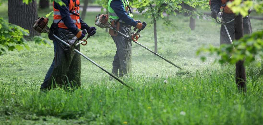 Die besten Freischneider 2025 für Profis und Heimwerker