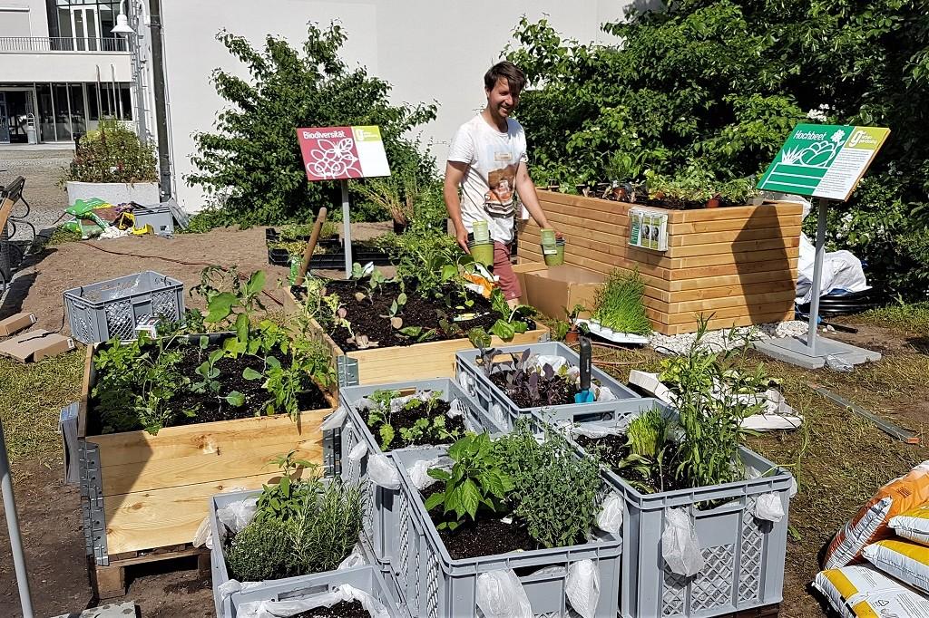 Mobiles Gärtnern mit Kisten und Paletten-Beeten. | Foto: LWG