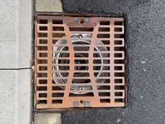 Pilotprojekte bestätigen wirksamen Rückhalt