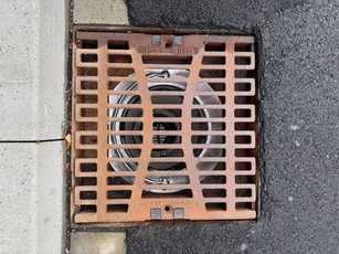 Pilotprojekte bestätigen wirksamen Rückhalt