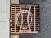 Pilotprojekte bestätigen wirksamen Rückhalt