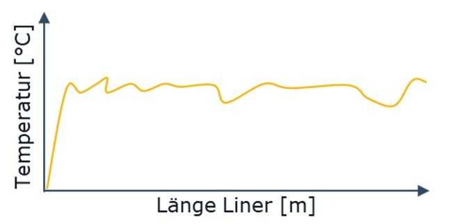 Flächendeckende Erfassung entlang des gesamten Liners | Foto: RelineEurope Flächendeckende Erfassung entlang des gesamten Liners | Foto: RelineEurope