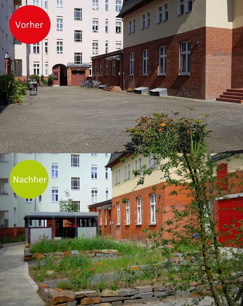 Ein Innenhof – vor und nach der naturnahen Gestaltung. | Foto: Stiftung für Mensch und Umwelt Ein Innenhof – vor und nach der naturnahen Gestaltung. | Foto: Stiftung für Mensch und Umwelt