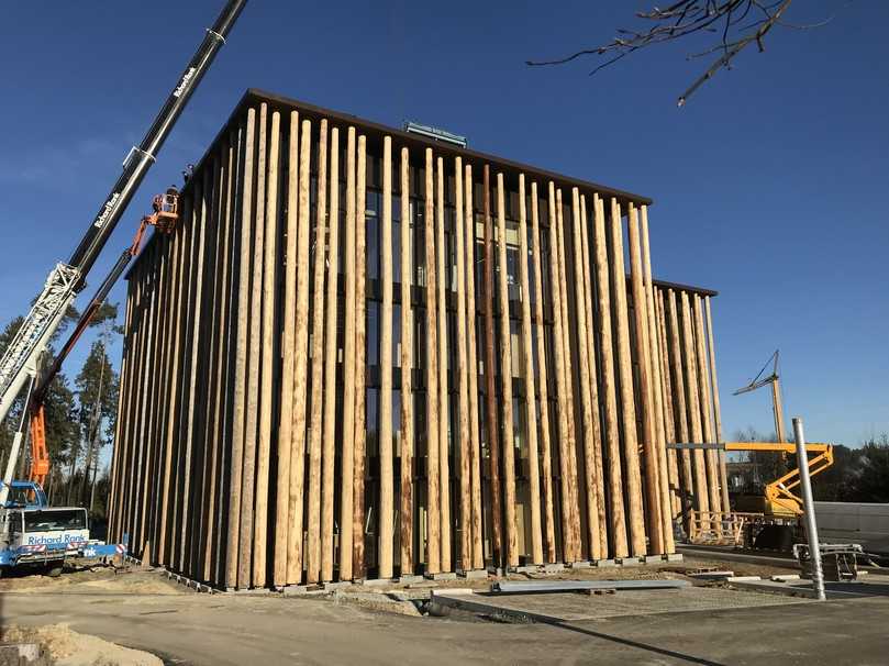 Die Montage der Stämme war eine kniffelige Aufgabe. | Foto: Holzbau Riedl Die Montage der Stämme war eine kniffelige Aufgabe. | Foto: Holzbau Riedl