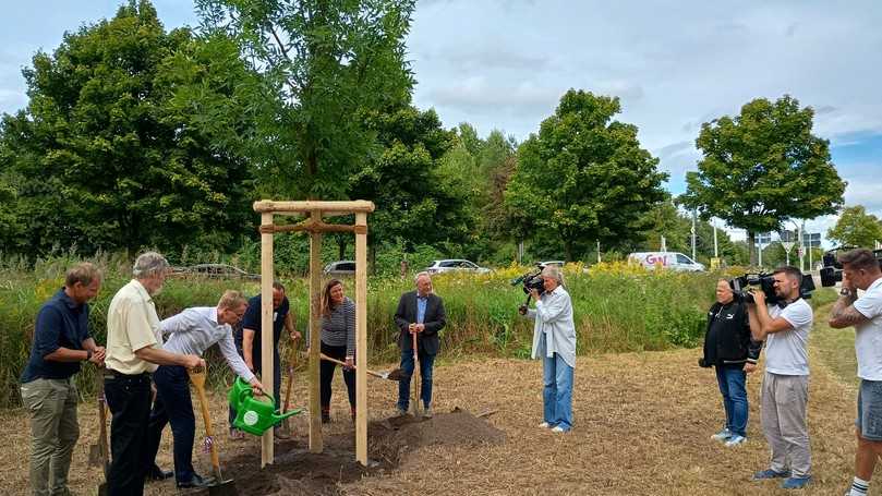Der Start der bundesweiten Mitmachaktion Einheitsbuddeln 2025 stieß in Kiel auf ein beachtliches Medieninteresse. | Foto: B_I MEDIEN/Budde