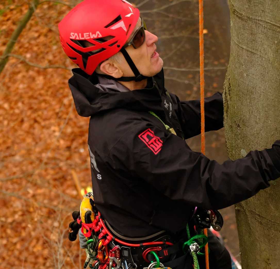 Baumpflege: Sicher Arbeiten – Interview mit Mark Bridge Baumpflege: Sicher Arbeiten – Interview mit Mark Bridge