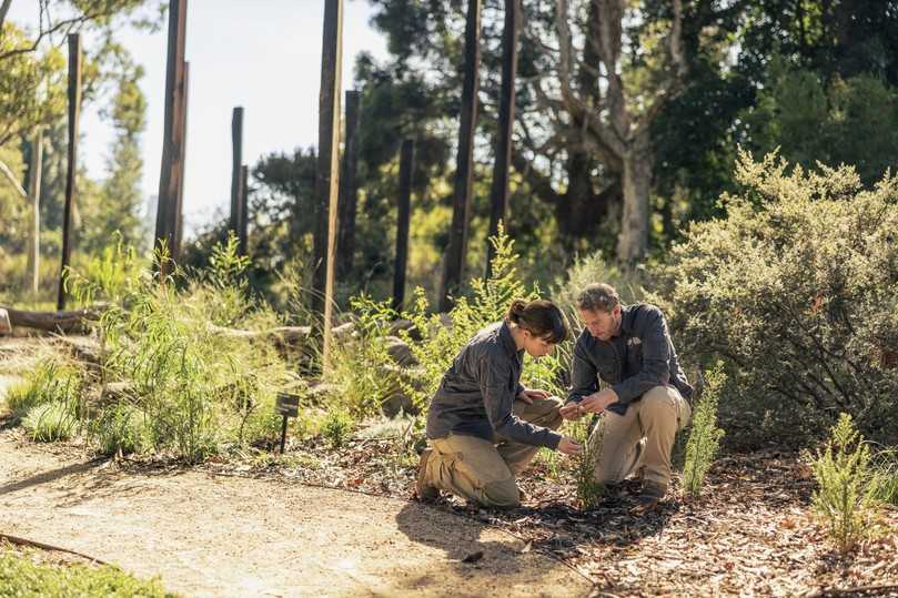 Die richtige Wahl des Pflanzenmaterials wird in Zukunft entscheidend sein für Anpassungen an veränderte klimatische Bedingungen. Ihr Wissen und die Erfahrungen mit Landschaftsnachfolge wie hier in den Drylands gibt der Botanische Garten gerne weiter . | Foto: Stihl