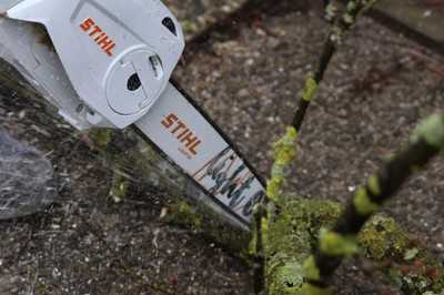 Saison für Baumschnitte: Stihl MSA 80 im Test für Profis und Heimwerker