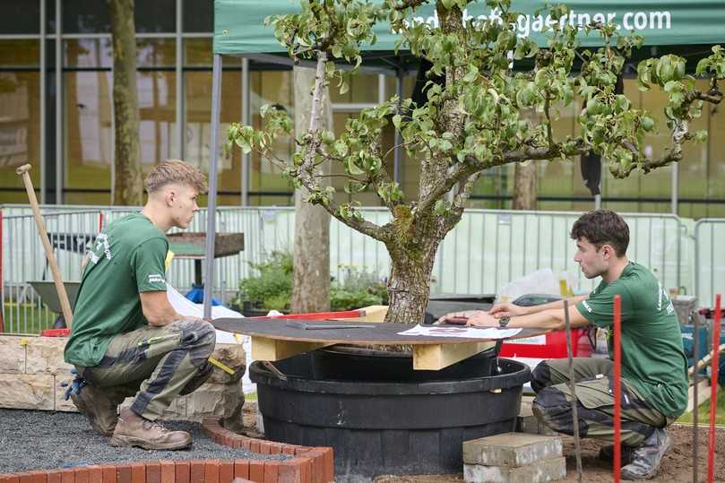Teamwork beim Landschaftsgärtner-Cup 2026 in Nürnberg: Hannes Weser (rechts) und Berufskollege Leon Luca Schade traten gemeinsam Mitte September auf der Fachmesse GaLaBau bei der Deutschen Meisterschaft für Landschaftsgärtner an. | Foto: AuGaLa/Carolin Tietz Teamwork beim Landschaftsgärtner-Cup 2026 in Nürnberg: Hannes Weser (rechts) und Berufskollege Leon Luca Schade traten gemeinsam Mitte September auf der Fachmesse GaLaBau bei der Deutschen Meisterschaft für Landschaftsgärtner an. | Foto: AuGaLa/Carolin Tietz