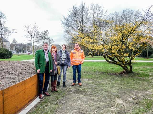 Neuer Verkehrsknotenpunkt erfordert Parkumgestaltung