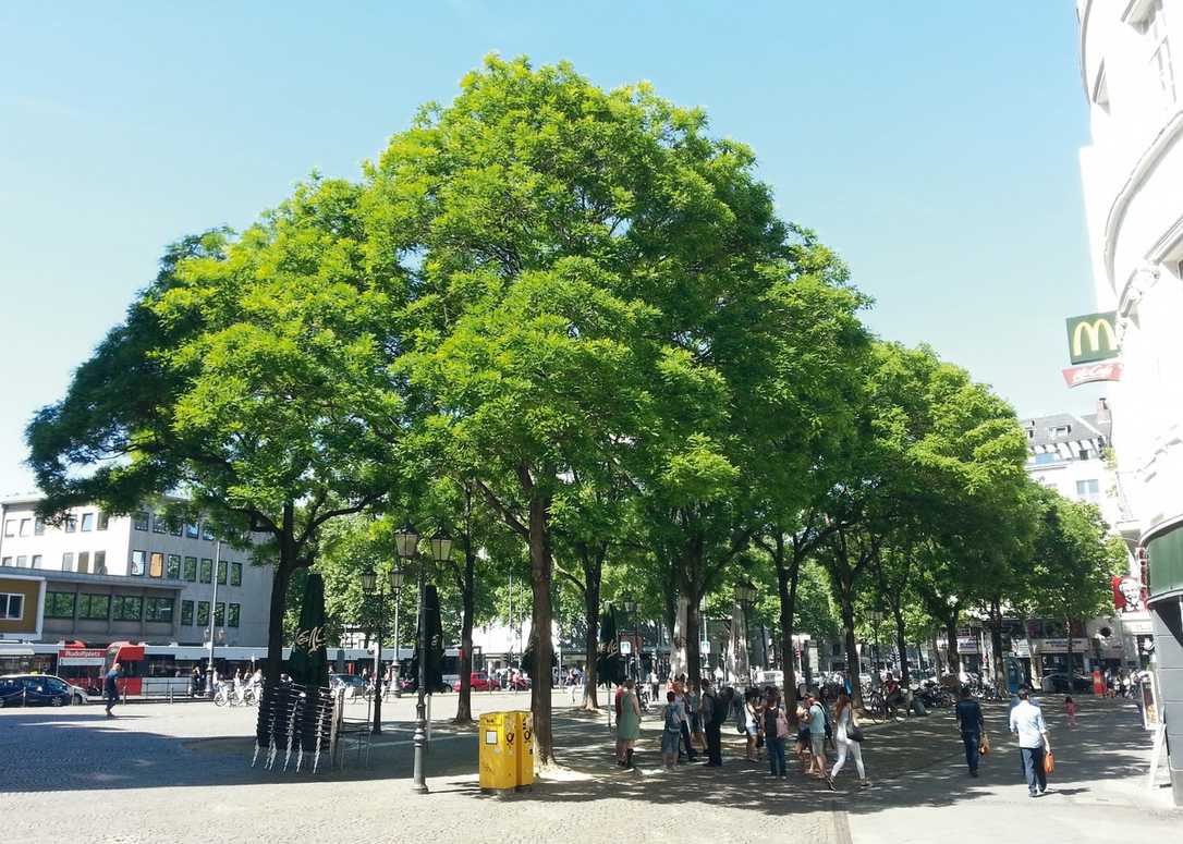 Hauert Manna auf der GaLaBau 2022: Bio-Pflanzenernährung Hauert Manna auf der GaLaBau 2022: Bio-Pflanzenernährung