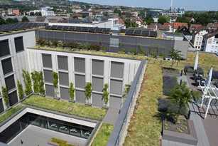 Dachbegrünungen auf dem Vormarsch