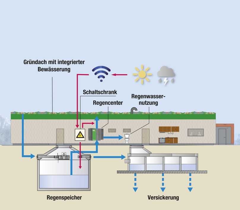 Schema der Regenwasserbewirtschaftung beim Neubau des SSC-Vereinsheims. Mit Fertigstellung im November 2023 werden 100 Prozent des Regenwassers auf dem Gelände bewirtschaftet. Ein Kanalanschluss für Regenwasser existiert nicht. | Foto: Mall Schema der Regenwasserbewirtschaftung beim Neubau des SSC-Vereinsheims. Mit Fertigstellung im November 2023 werden 100 Prozent des Regenwassers auf dem Gelände bewirtschaftet. Ein Kanalanschluss für Regenwasser existiert nicht. | Foto: Mall