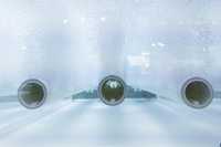 Wasserbewusste Stadtentwicklung als Zukunftsaufgabe