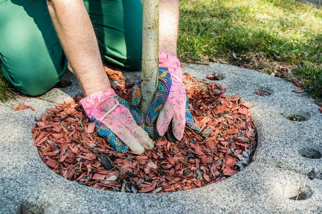 Stromausfall in Berlin: Fachverband kontert Wolfgang Ischinger