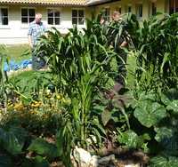 Mit Humusaufbau Biodiversität fördern und CO2-Emission reduzieren