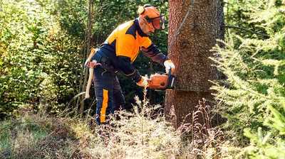 Drei Messetage voller Technik, Wissen und Erlebnis