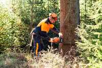 Drei Messetage voller Technik, Wissen und Erlebnis