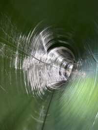 Brandenburger Liner: Neue Maßstäbe in Sachen Flexibilität