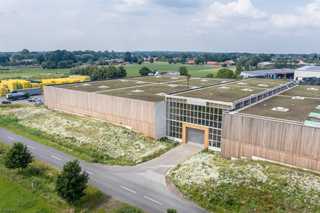 Regionaltypische Biodiversität auf extensiv begrünten Dächern schaffen