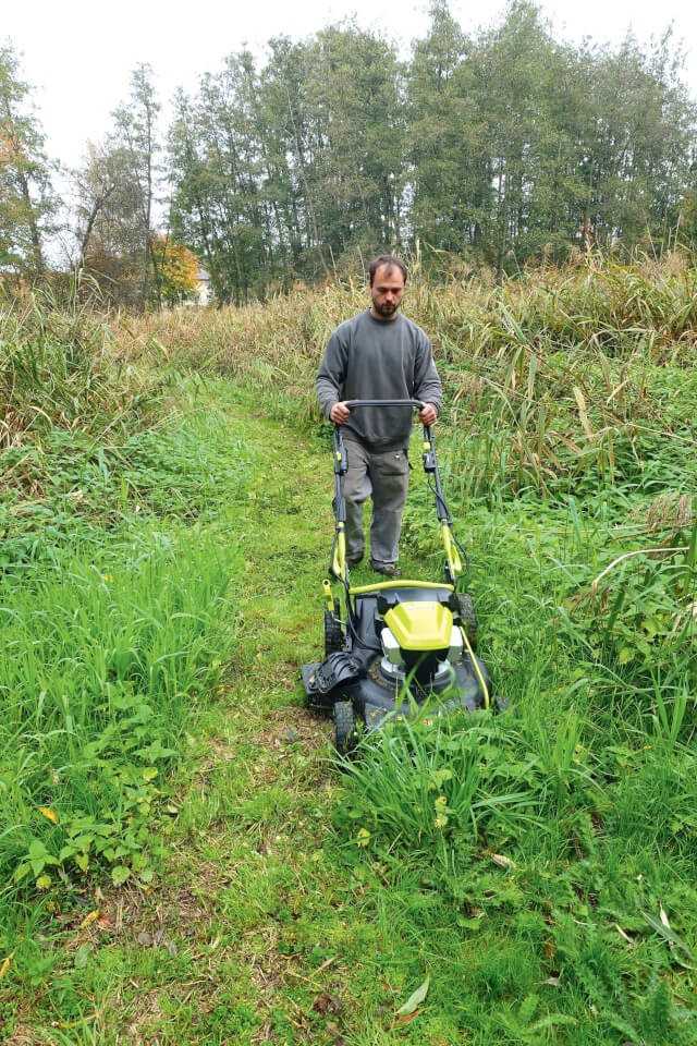 Sogar in feuchtem Gestrüpp ließ der Landmaschinentechniker Tobias Albert den Akkumäher arbeiten und dieser bewältigte die Schwierigkeit.