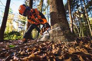 Beispielrechnung für Profis: Stihl vergleicht Akku- und Benzingeräte