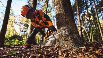Beispielrechnung für Profis: Stihl vergleicht Akku- und Benzingeräte