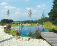 So klappt es mit dem Bad im Schwimmteich oder Naturpool