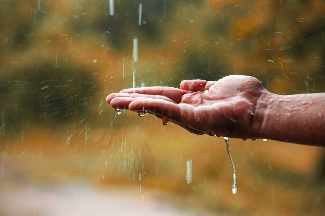 Regenwasserbewirtschaftung: Neuer Ratgeber Regenwasser von Mall für die Praxis