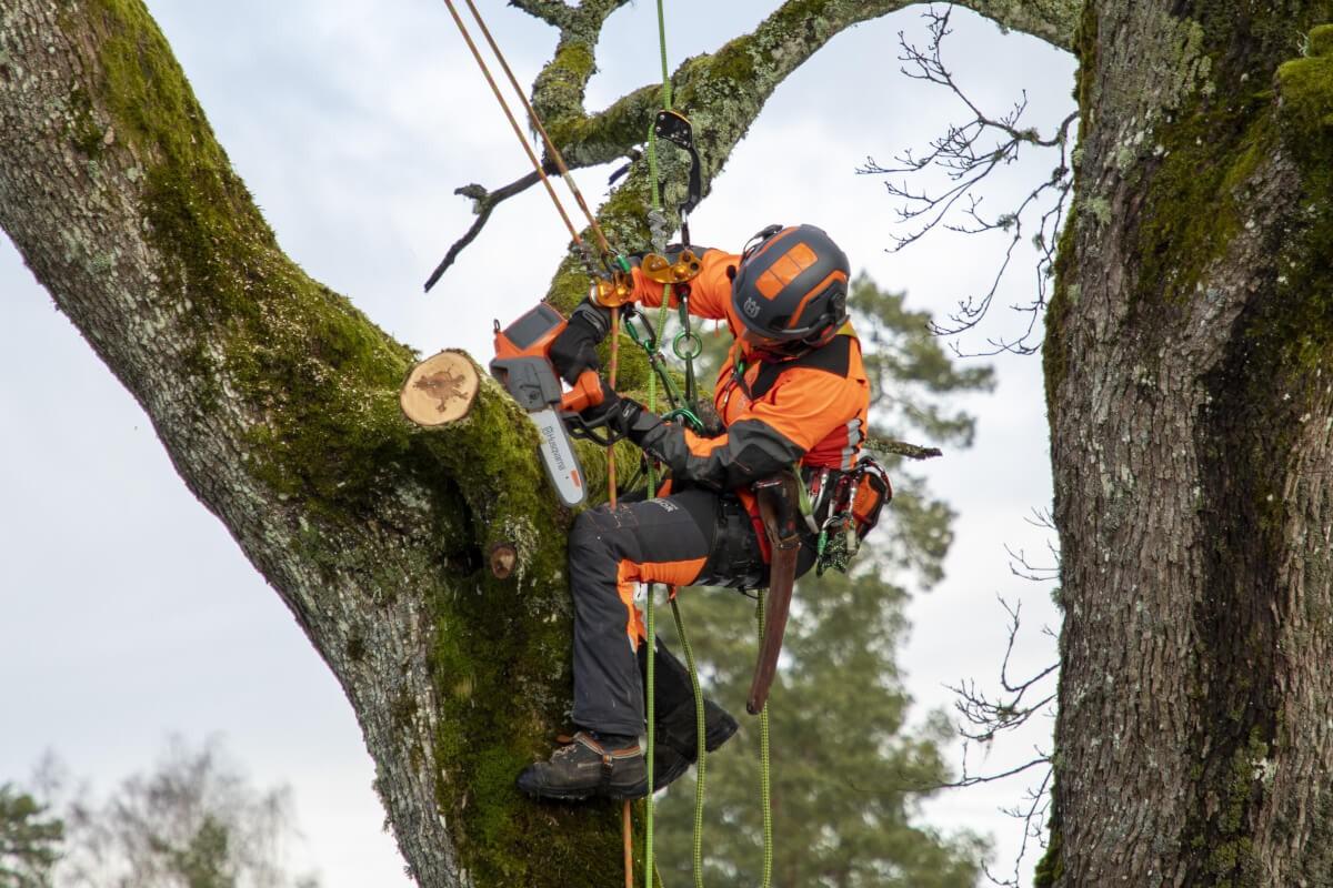 Der neue drei-Wege-Sicherheitsschalter ließe sich auch in unnatürlichen Handpositionen mühelos betätigen, berichtet Jo Hedger nach der Präsentation der neuen Akku-Kettensägen.