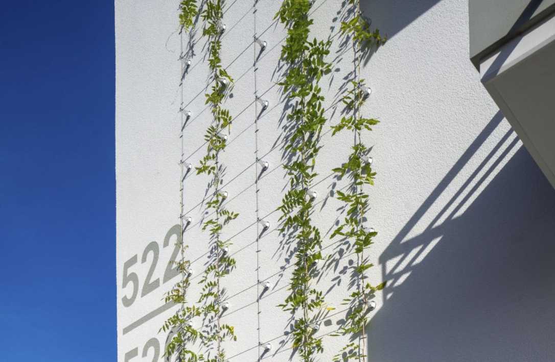 Fassadenbegrünung in Frankfurt: Rankhilfe-System für gedämmte Hauswände Fassadenbegrünung in Frankfurt: Rankhilfe-System für gedämmte Hauswände