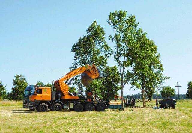Baumveterane für Waldfriedhof