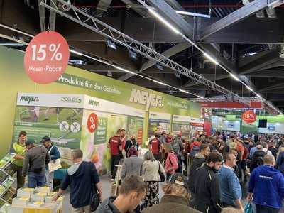 Stadtbäume im Klimawandel: Wurzelschutz und Bewässerung für urbanes Grün