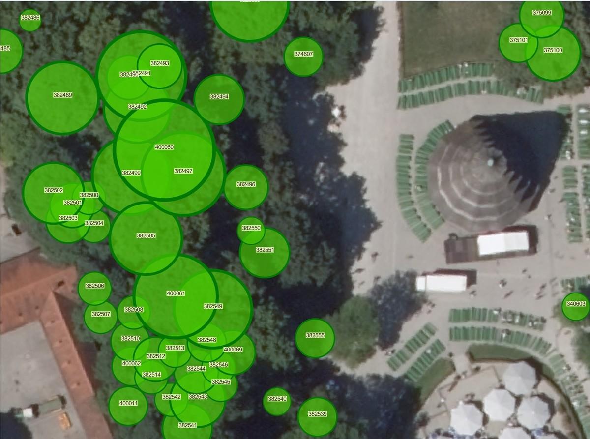 Baumkataster vom Englischen Garten. | Foto: Michael Degle